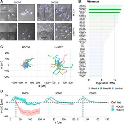 Density-Dependent Migration Characteristics of Cancer Cells Driven by Pseudopod Interaction